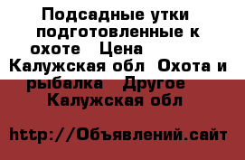 Подсадные утки, подготовленные к охоте › Цена ­ 2 000 - Калужская обл. Охота и рыбалка » Другое   . Калужская обл.